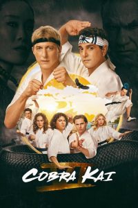 Download Cobra Kai (2024-2025) Season 6 (Part 1 – 2 – 3) Dual Audio {Hindi-English} NetFlix-Series 480p 720p 1080p